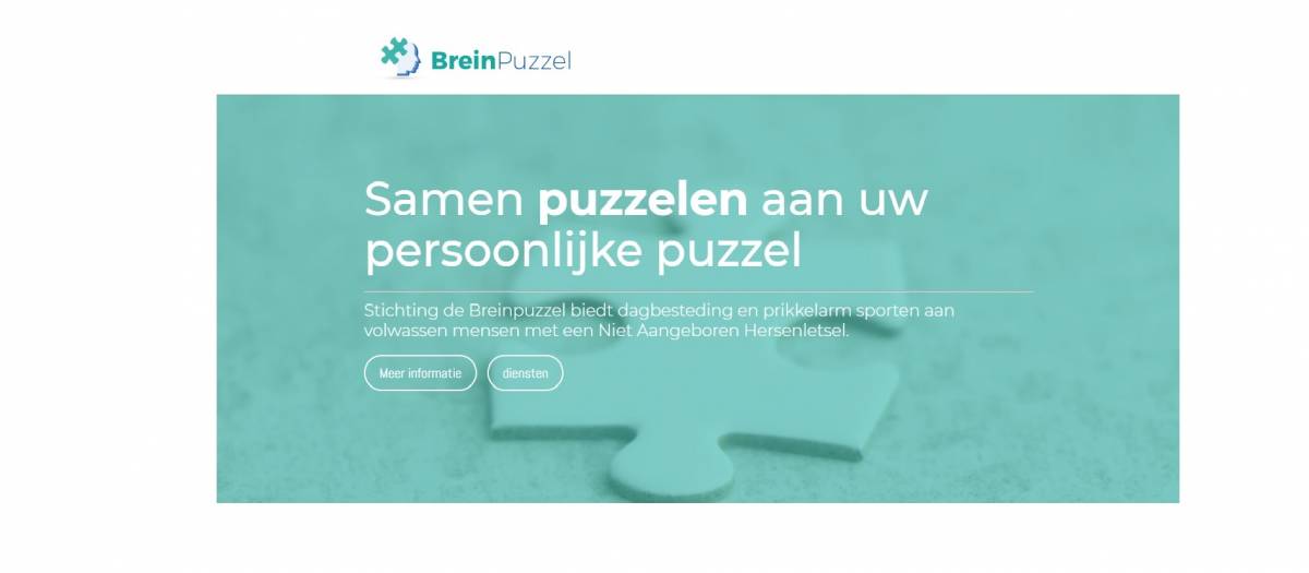 Voor Stichting de Breinpuzzel is UVV op zoek naar vrijwilligers die kunnen begeleiden bij de activiteiten